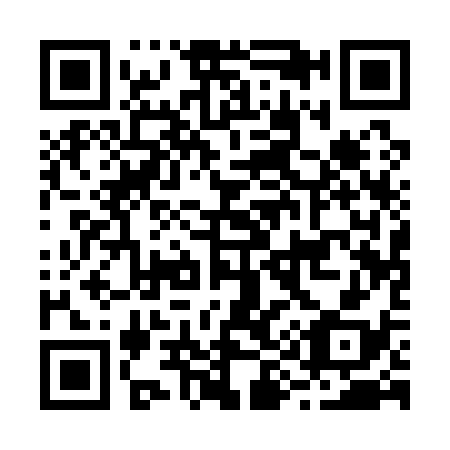 QR code for B91138
