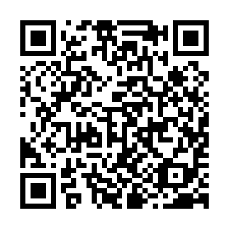 QR code for B91199