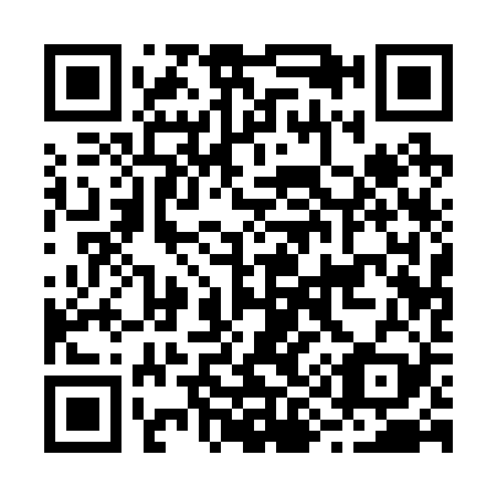 QR code for B91229