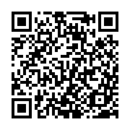 QR code for B91243