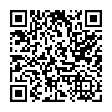 QR code for B91253