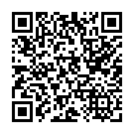 QR code for B91966