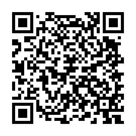 QR code for B95491