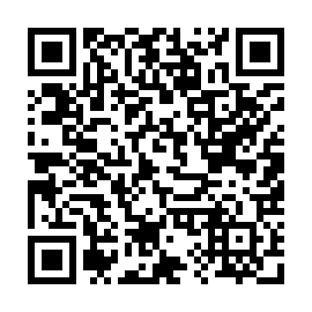 QR code for B95920