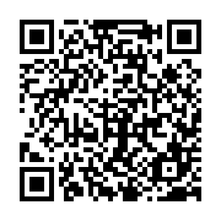 QR code for B96106