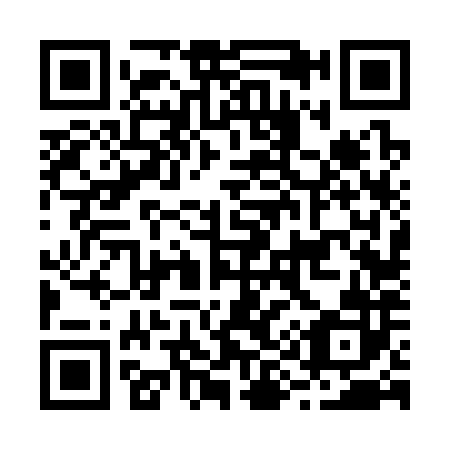 QR code for B96382