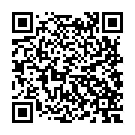 QR code for B96907