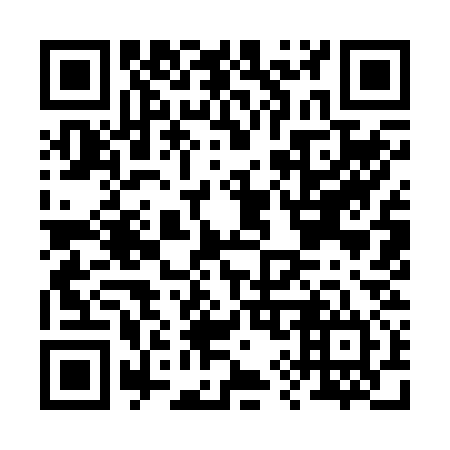 QR code for B99234