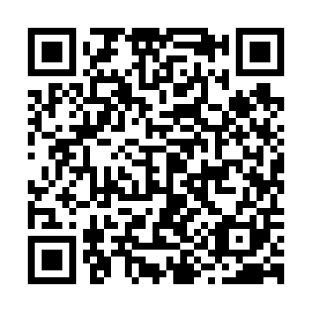 QR code for B99601
