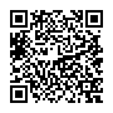 QR code for BAE0338