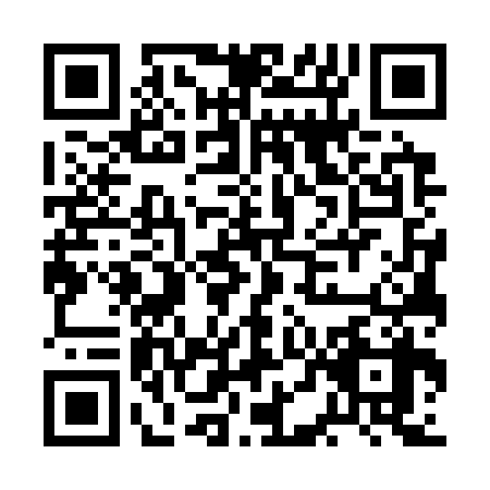 QR code for plate BDG-3381