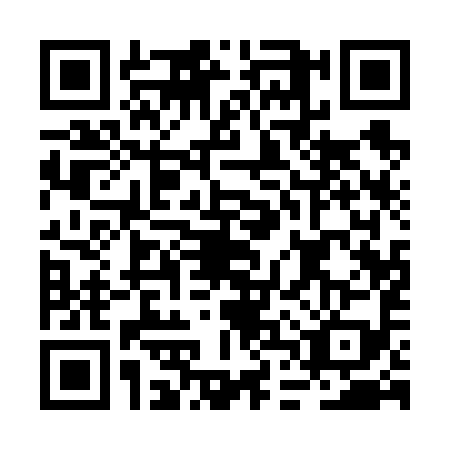 QR code for plate BDQ-6993