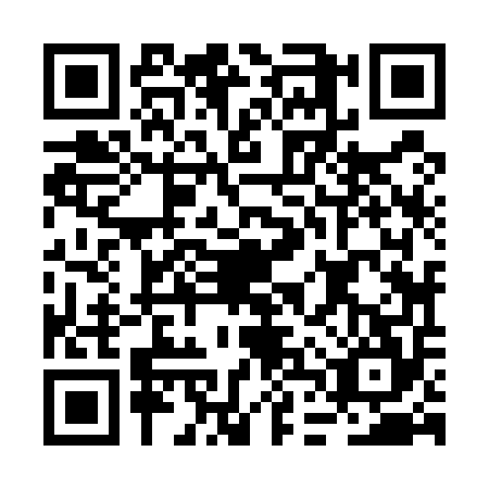 QR code for plate BDZ-5541