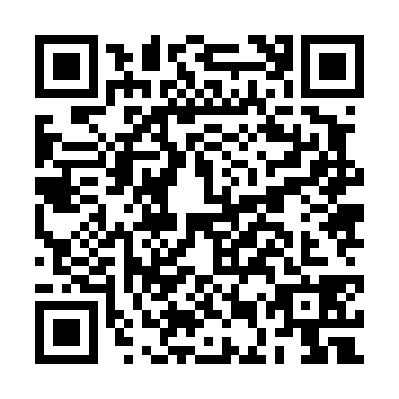 QR code for plate BEZ-4384