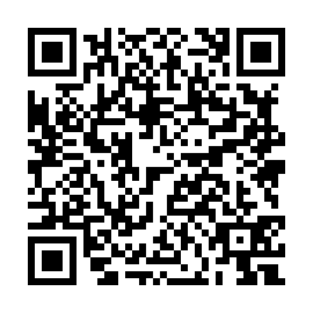 QR code for BFM8313