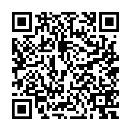 QR code for plate BFO-1595