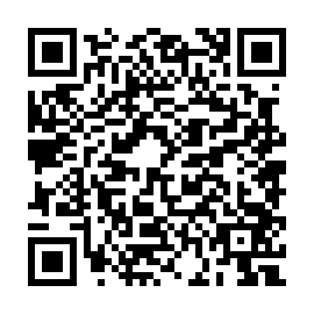 QR code for BGN-0431
