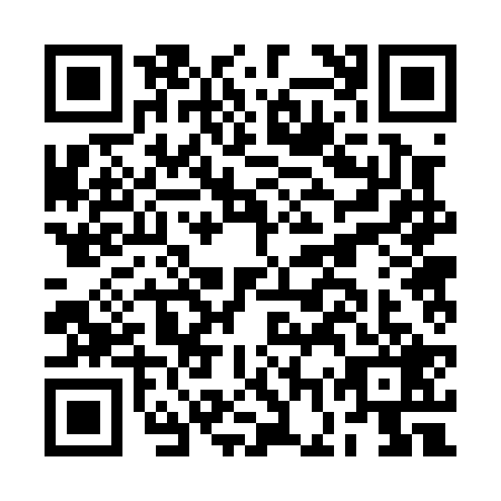 QR code for BGR-0295
