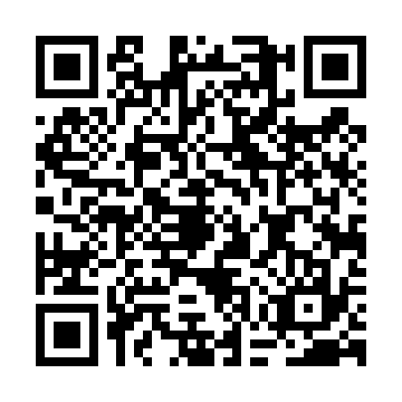 QR code for BGT4379