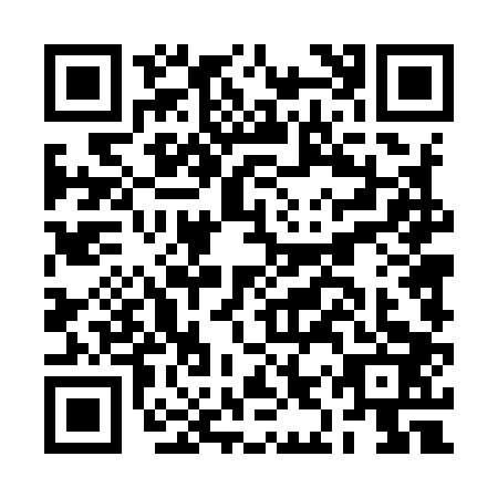 QR code for plate BIT-9038
