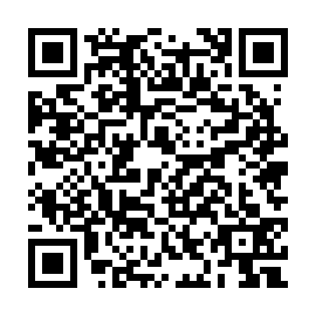 QR code for plate BIU-2339