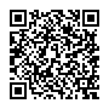 QR code for BJJ-8917