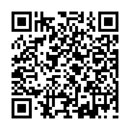 QR code for plate BKU-3863