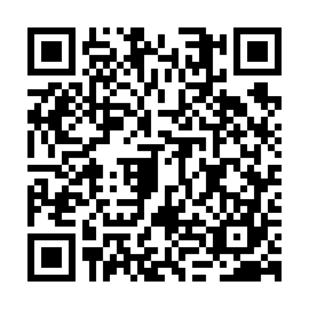 QR code for plate BLG-6676