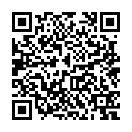 QR code for BLO-0334