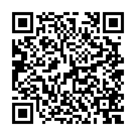 QR code for BLO-0493