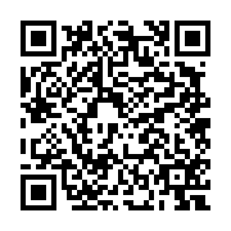 QR code for BOR-4163
