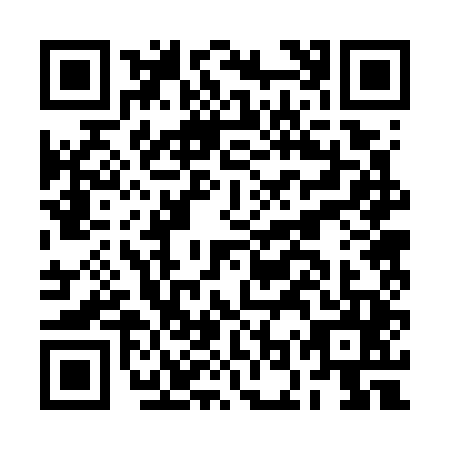 QR code for BOR-7453
