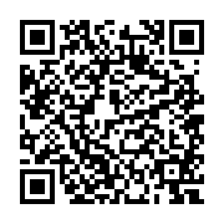 QR code for plate BOR-3848