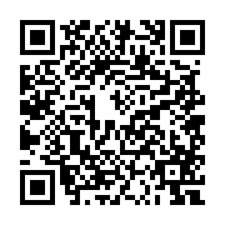 QR code for BSR-5878