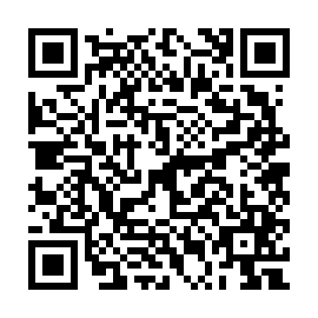 QR code for BUB-6453