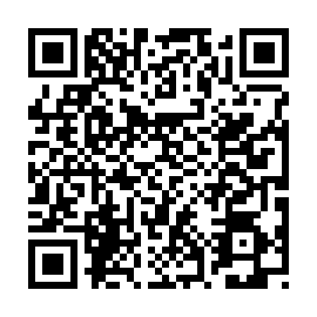 QR code for BWP-3741