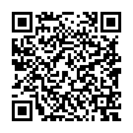 QR code for plate BYL-8608