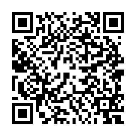QR code for plate BZM-2929