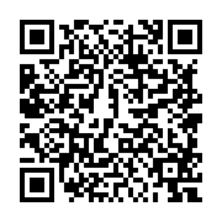 QR code for plate BZM-8869