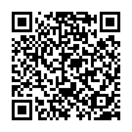 QR code for C03738