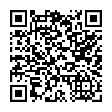 QR code for C09295