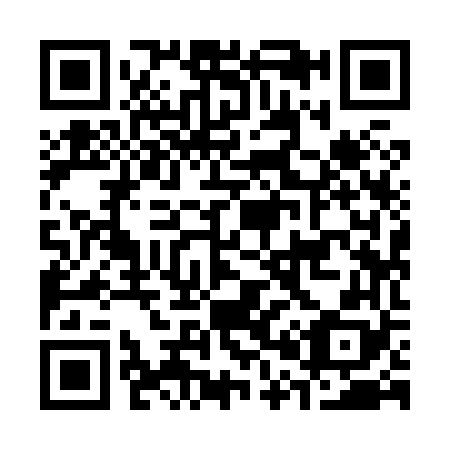 QR code for C09868