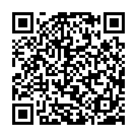 QR code for C10333