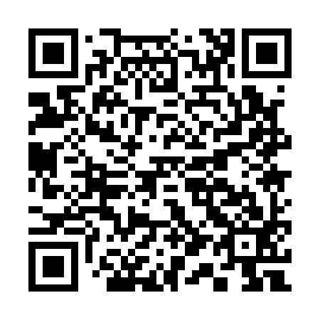 QR code for C11193
