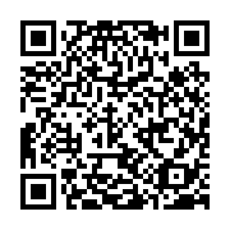 QR code for C11238
