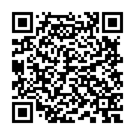 QR code for C12873
