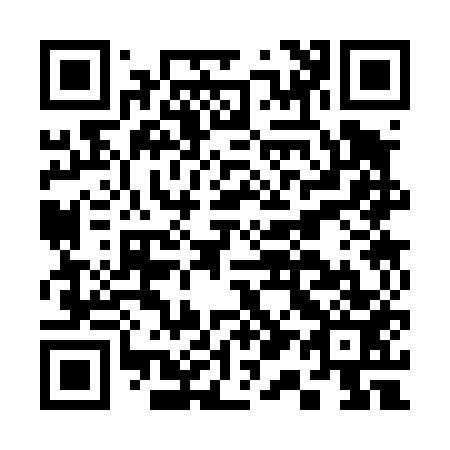 QR code for C13453