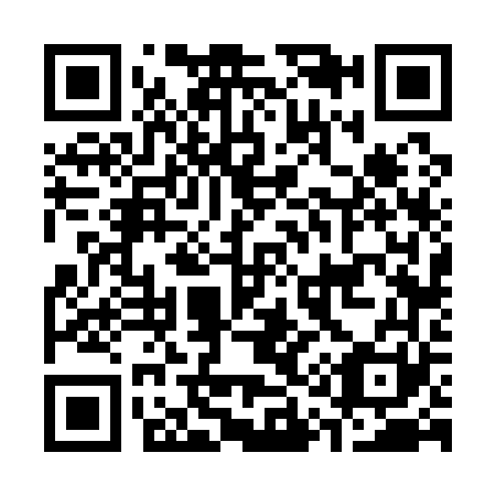 QR code for C16161