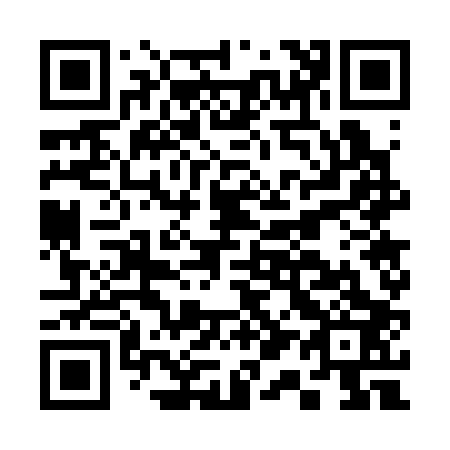 QR code for C17303