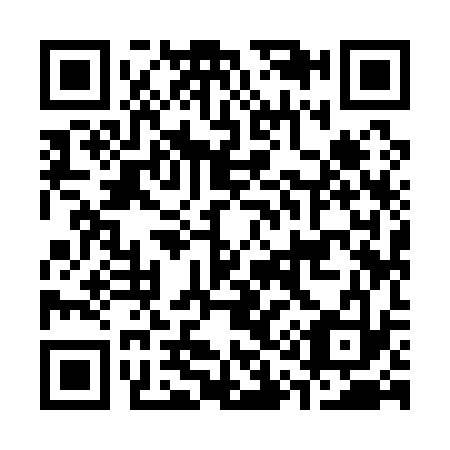 QR code for C19133